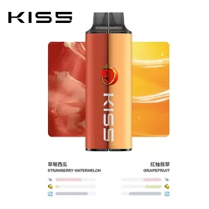 KIS5-6500口拋棄式電子煙-4-300×300 KIS5 6500口拋棄式電子煙 4 300x300 1